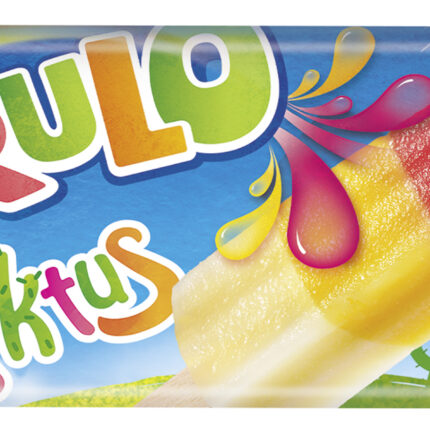 Kaktus, 50 Stück NEU